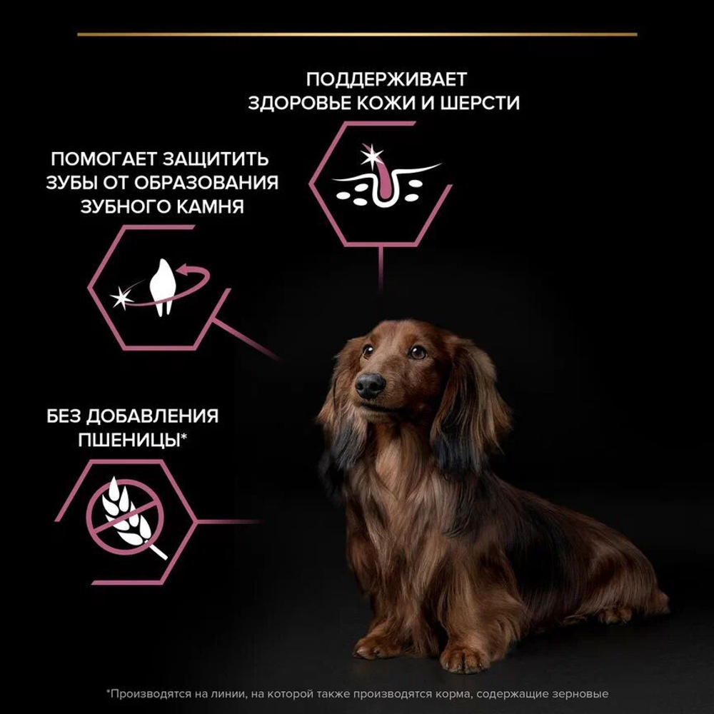 Pro plan корм сухой для взрослых собак мелких пород с лососем