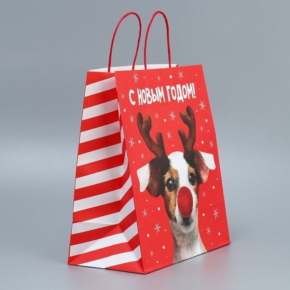Пакет подарочный 28 × 32 × 15 см крафтовый «Олень ты» (Дарите Счастье)