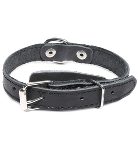 Ошейник c кольцом кожаный, 20*450мм, Gamma