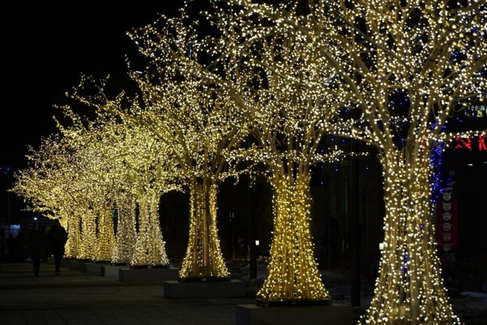 Светодиодное Дерево