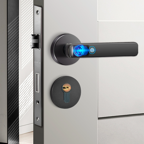 Электронный замок ML-Smart-F3