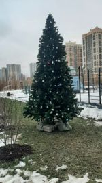 Большая елка «Рублевская» (пвх) от 3 до 8 м