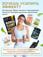 Таблетки для похудения(жиросжигатель) Soul Way