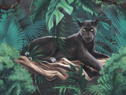 Коллекция Animality