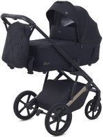 Детская коляска Rant Garda 2 в 1 Black