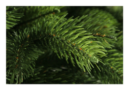 Ель искуственная Царь елка Беверли 150 см