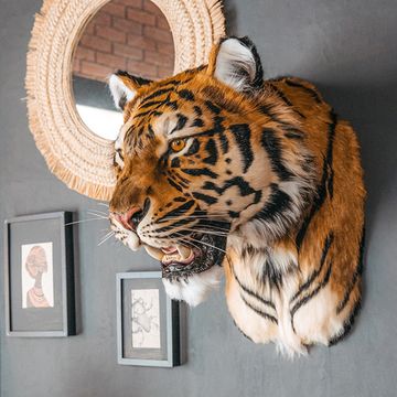 Реплики и муляжи