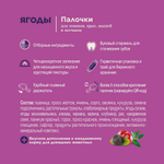 Лакомство для хомяков, крыс, мышей и песчанок Little One Палочки с ягодами 2х60г