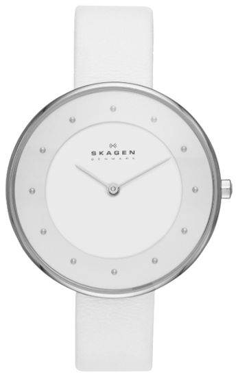 Наручные часы Skagen SKW2136