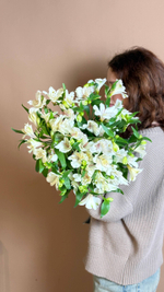 Охапка альстромерий, 10 веток