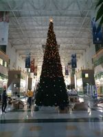 Уличная елка каркасная «Аврора» ED (пвх) от 8 м до 20,5 м