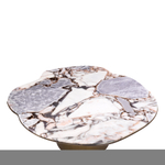 Журнальный столик Coffee Table Shapiro арт.117494