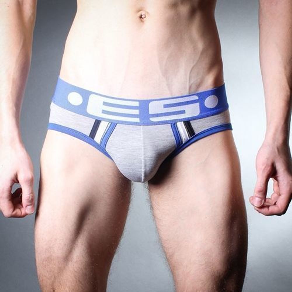 Мужские трусы брифы серые с синей резинкой ES Grey Brief