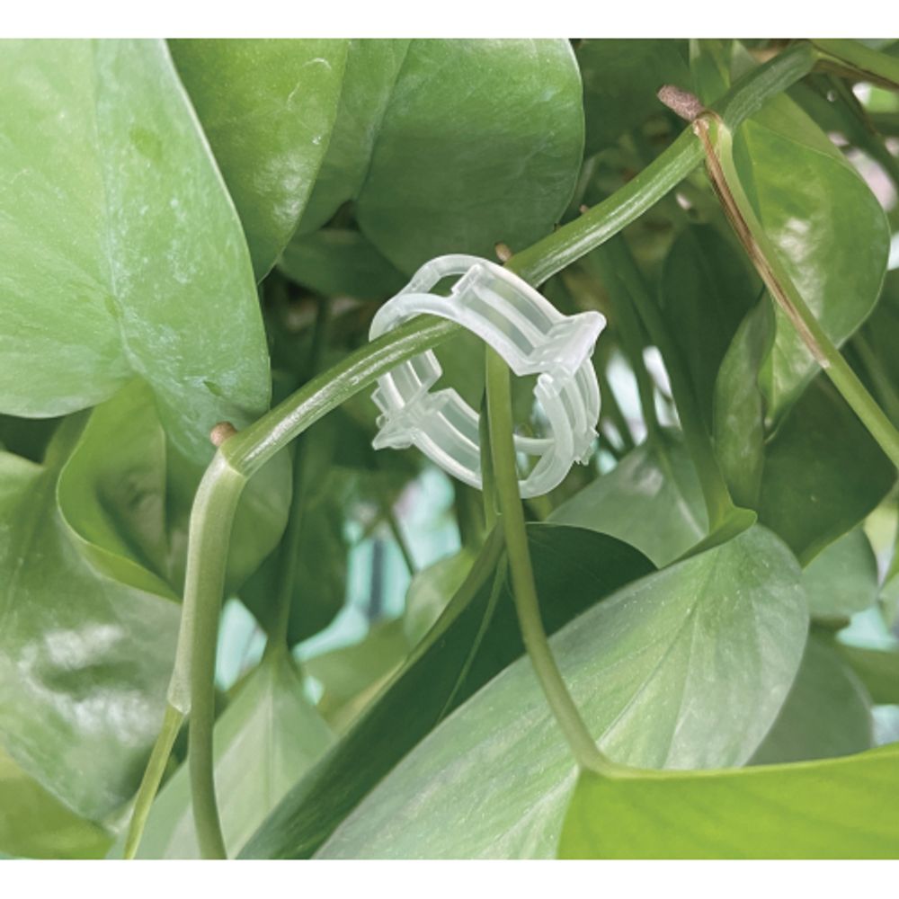 Кольцо фиксатор GREEN APPLE GPCR-7 для подвязки d 25 см 100 шт | GREEN APPLE