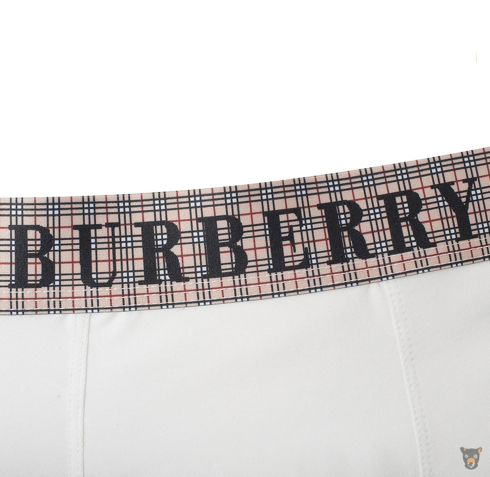 Мужские боксеры Burberry