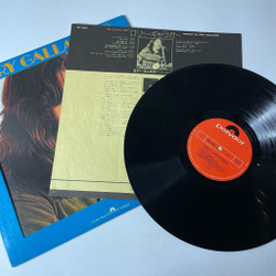 Винтажная виниловая пластинка LP Portrait Of Rory Gallagher (Japan 1973) (No Obi)