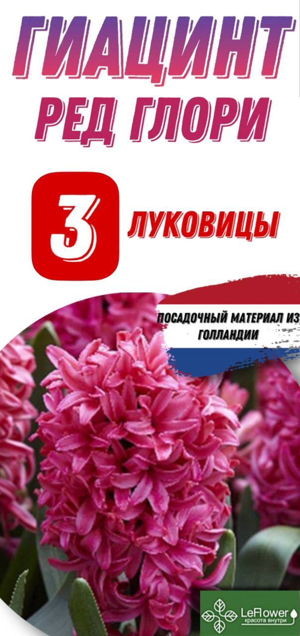 Гиацинт Луковицы, Ред глори, 3шт