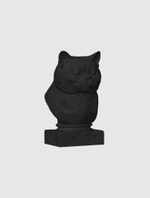 Британская Короткошерстная Кошка