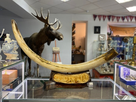 Бивень мамонта