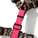 Шлейка Леопард+Розовый неон