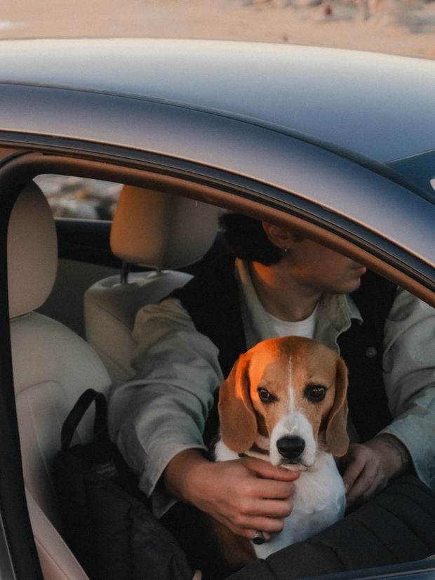 Автокресло-Пони чёрное