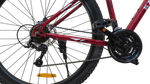 Велосипед Bike Dragon 30,5" 21скор BD-3-30,5-3 красный