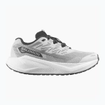 Женские Кроссовки для бега Salomon Aero Blaze 3 GRVL lunar