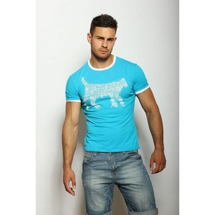 Мужская футболка голубая с принтом Scandaloso Киса 080285m-EP