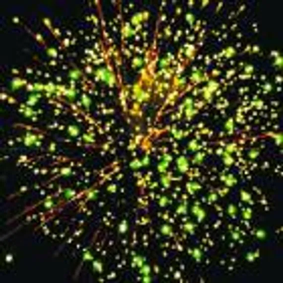 Альтаир (1,5" х 8) 18шт/кор Р5800