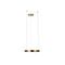 Подвесной светодиодный светильник Loft IT Ring 10013S