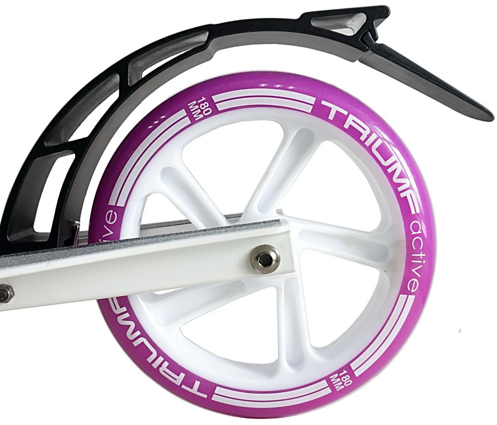 Самокат Triumf Active NL300-230