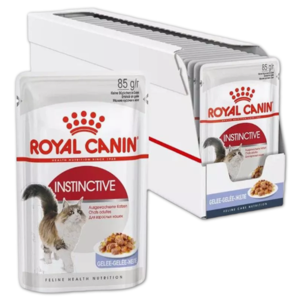 Royal Canin корм консервированный для взрослых кошек кусочки в желе