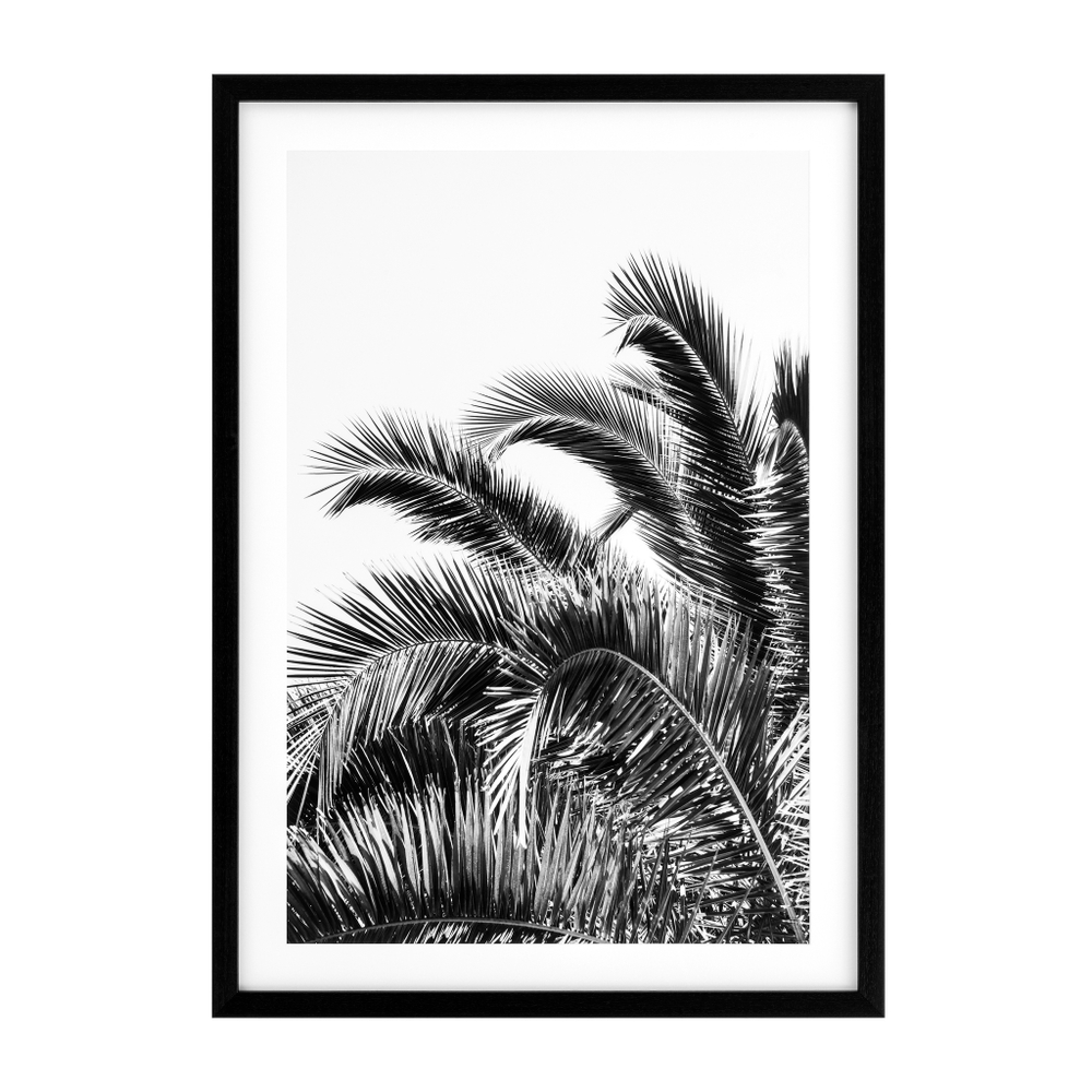 Постер Prints Palm Leaves set of 2 арт.112195