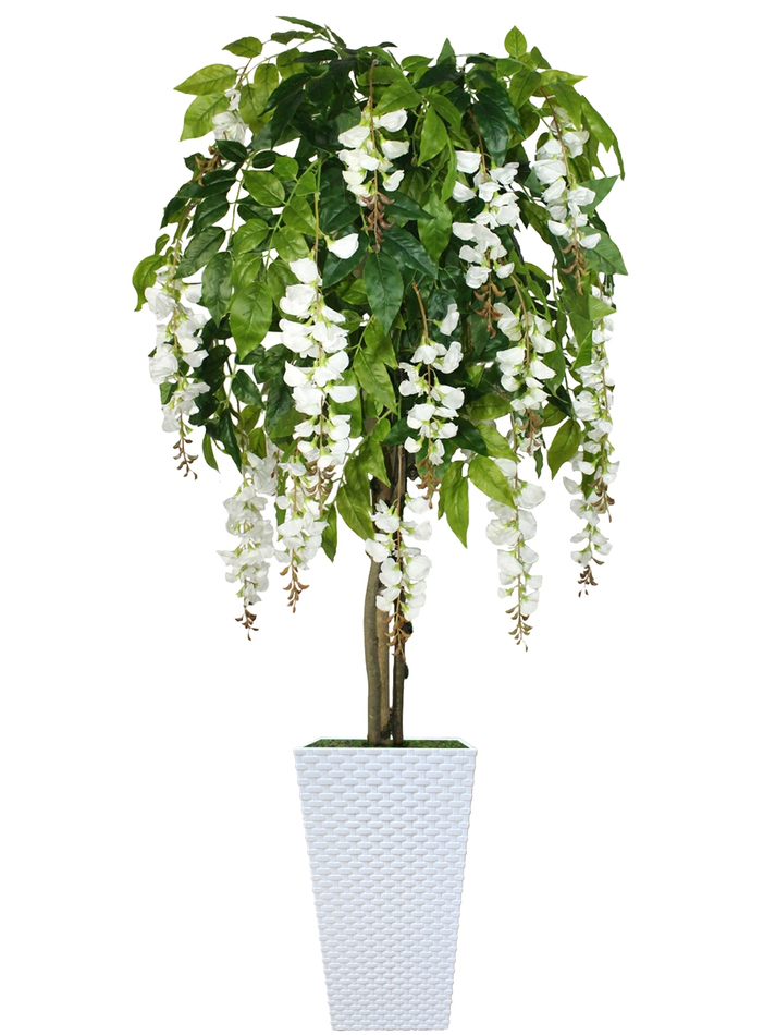 Искусственное дерево Акация белая 150см в высоком белом кашпо ротанг