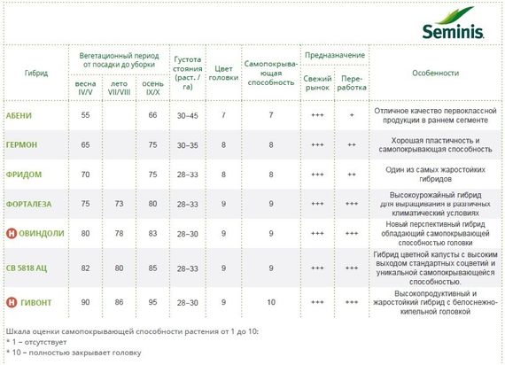 ФОРТАЛЕЗА F1 семена капусты цветной Seminis описание