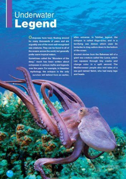 The Octopus. Reader. Книга для чтения