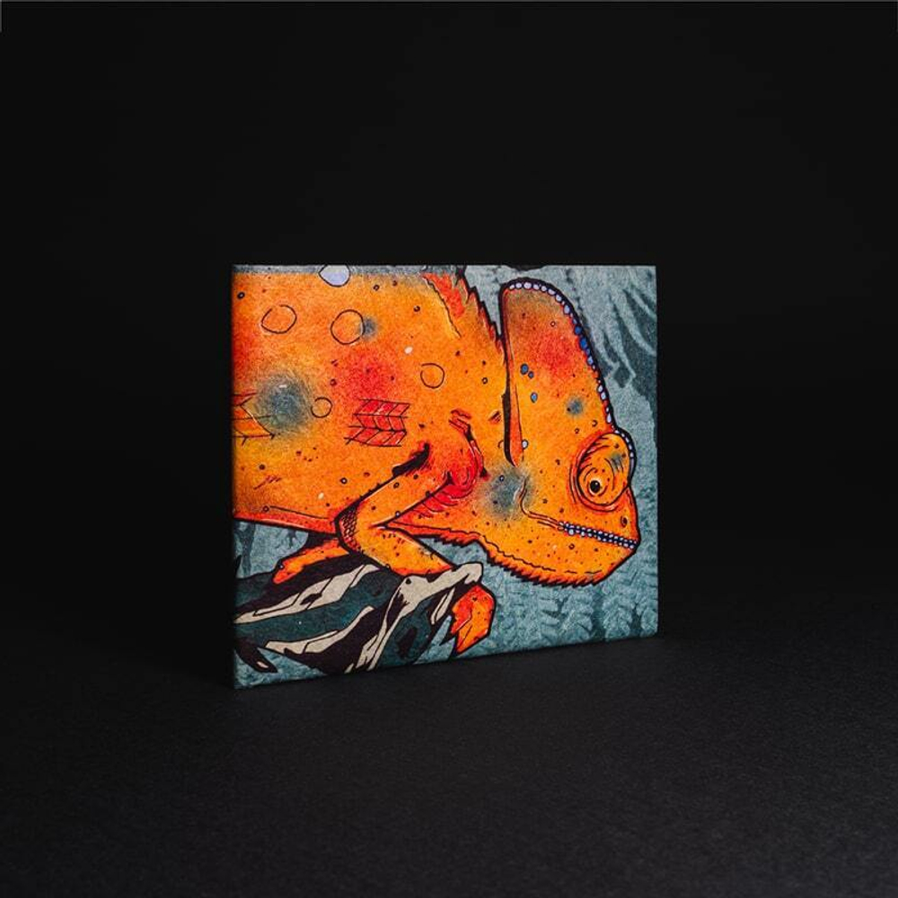 КОШЕЛЁК NEW CHAMELEON
