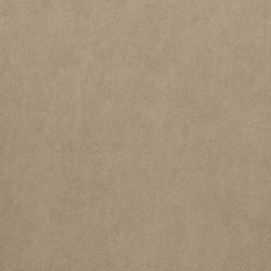 Микровелюр Бэст 24