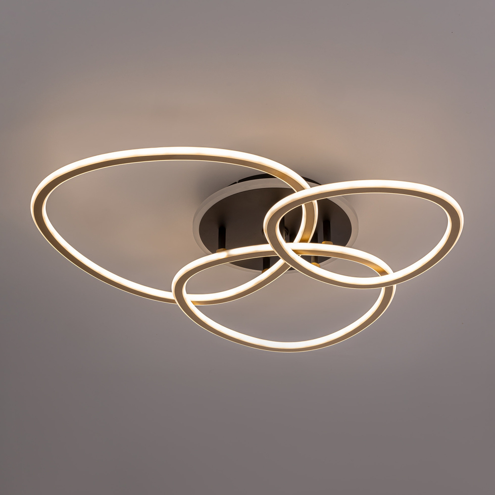 Потолочная светодиодная люстра Citilux TRIO CL215B132