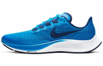 Кроссовки Nike Pegasus 37
