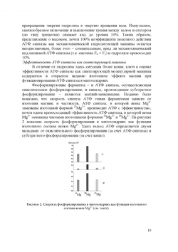 Динамика химических и биологических процессов, XXI век | Сборник
