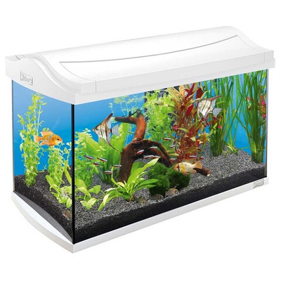 Tetra AquaArt Tropical LED 60 л (белый) - прямоугольный аквариум с LED светом и фильтром