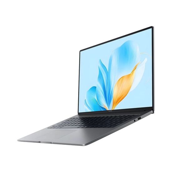 Ноутбук Honor MagicBook X16 2025 (Intel Core i3 1315U 1200 MHz/16"/1920х1200/8Gb/512Gb/Intel UHD Graphics/Без ОС) 5301ALXS