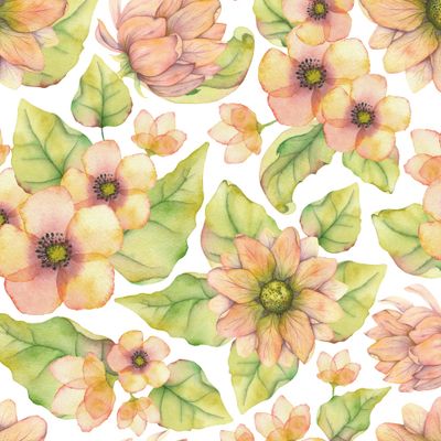 Желто-розовые акварельные цветы на белом