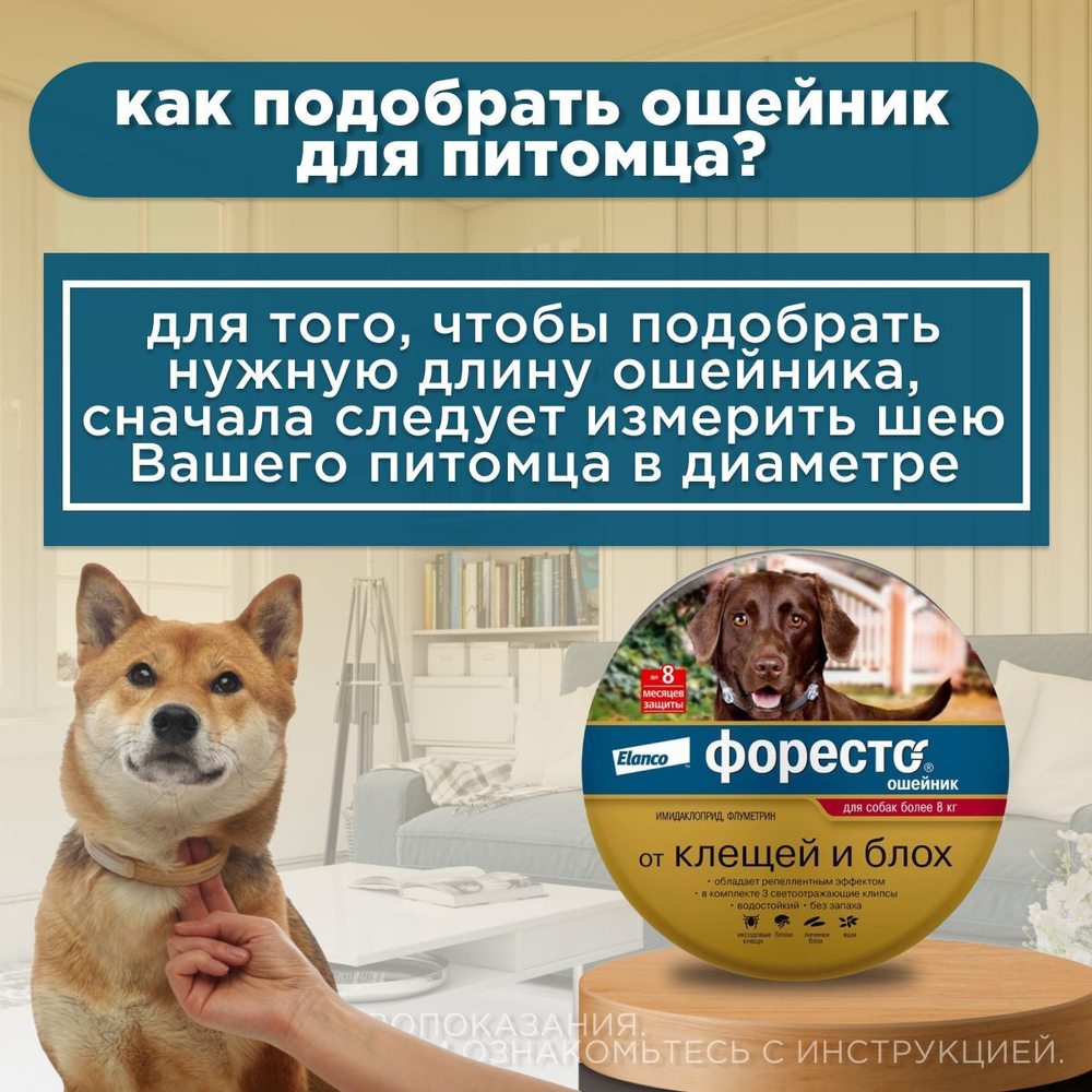 Ошейник от блох и клещей Форесто для собак более 8кг