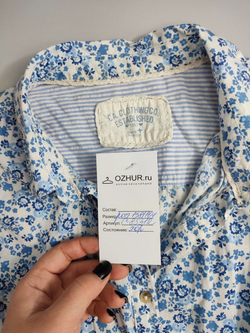 Блузка Established летняя на 14-16 лет