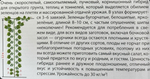 Огурец Само совершенство F1 5 шт Б/Ф СМО-184