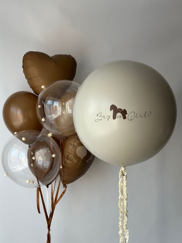 Воздушные шары на определение пола №8660