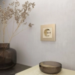 Рамка на 1 пост Aluminium (шампань алюминий) W0011711