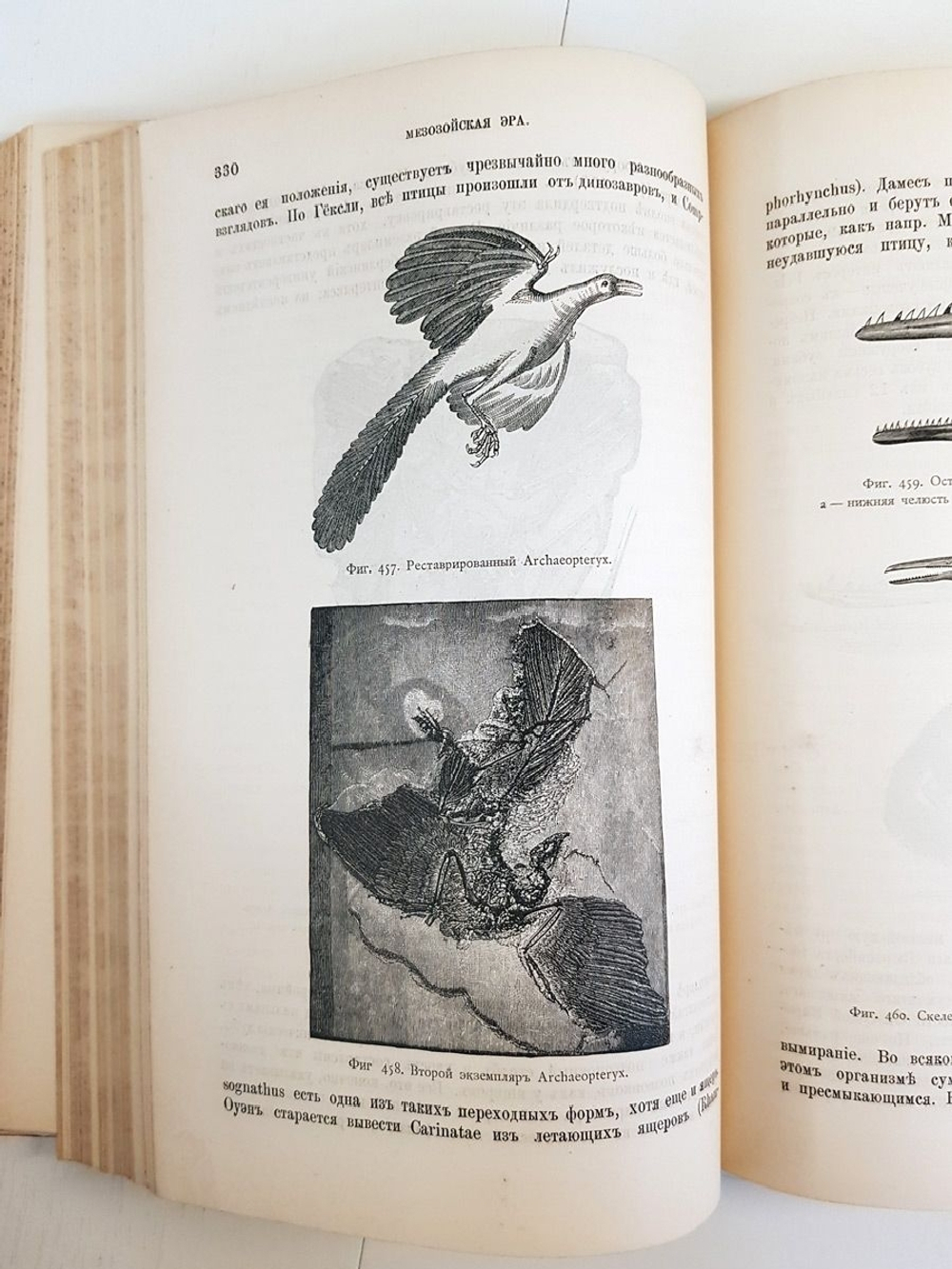 "Геология. Общий курс. В двух томах. Том 2". А.А. Иностранцев. 1887г. - антикварная книга